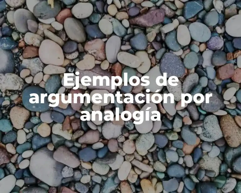 Ejemplos de argumentación por analogía