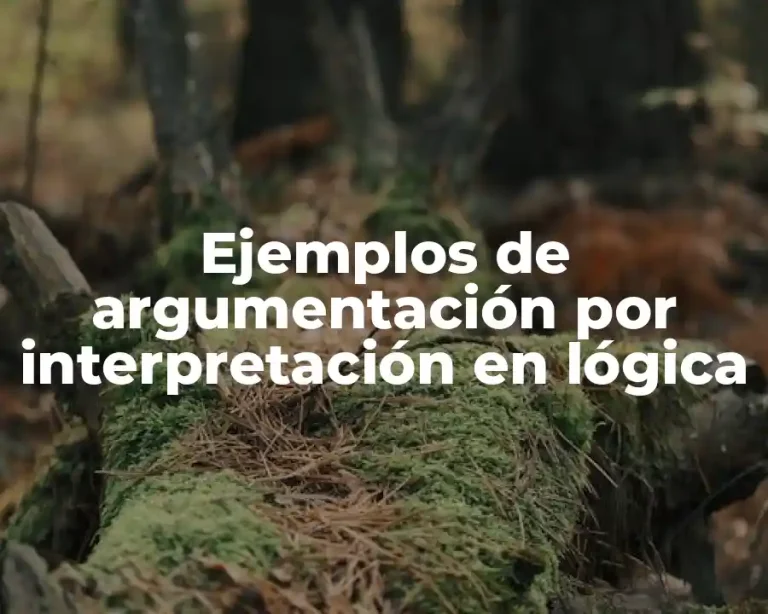 Ejemplos de argumentación por interpretación en lógica