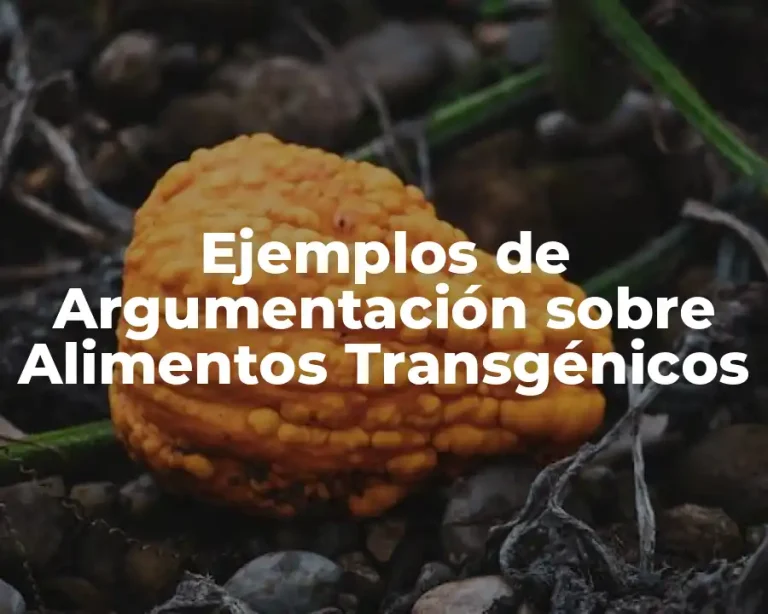 Ejemplos de Argumentación sobre Alimentos Transgénicos