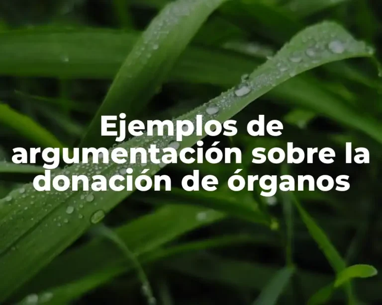 Ejemplos de argumentación sobre la donación de órganos