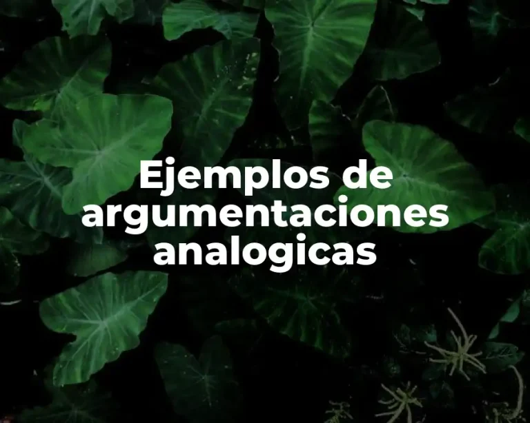 Ejemplos de argumentaciones analogicas
