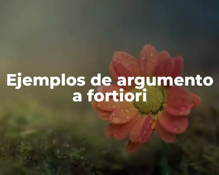 Ejemplos de argumento a fortiori