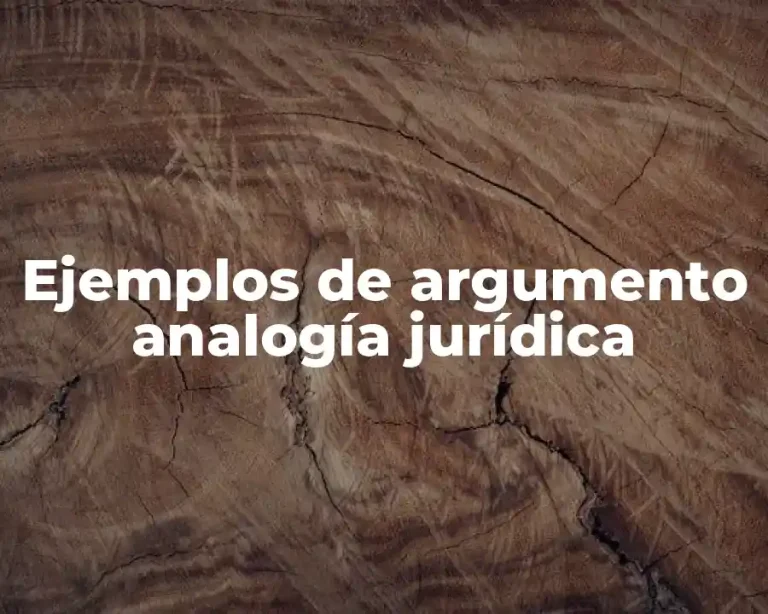 Ejemplos de argumento analogía jurídica