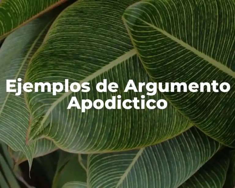 Ejemplos de Argumento Apodictico