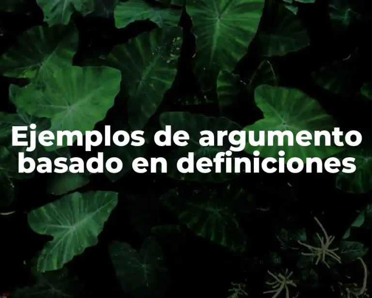 Ejemplos de argumento basado en definiciones