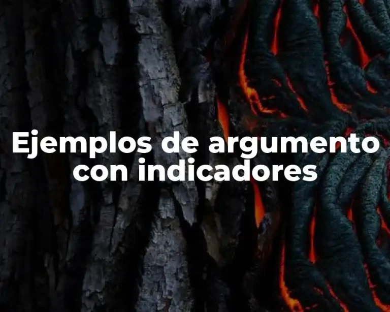 Ejemplos de argumento con indicadores