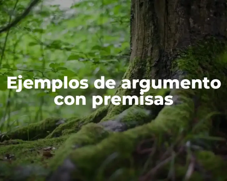 Ejemplos de argumento con premisas