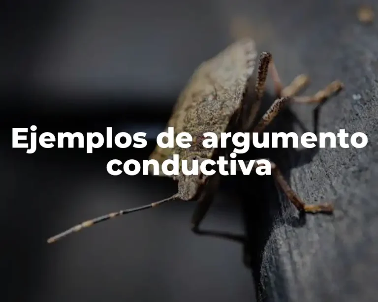 Ejemplos de argumento conductiva