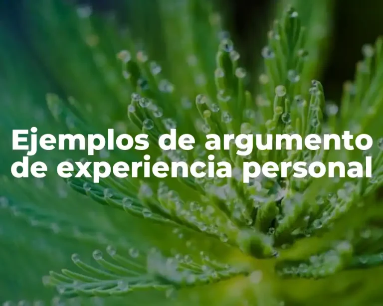 Ejemplos de argumento de experiencia personal
