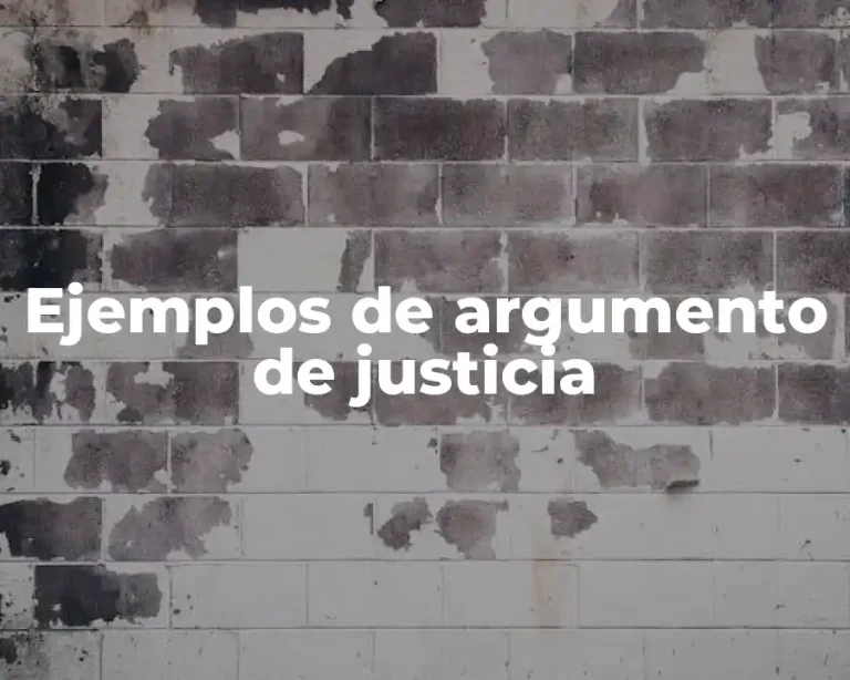 Ejemplos de argumento de justicia