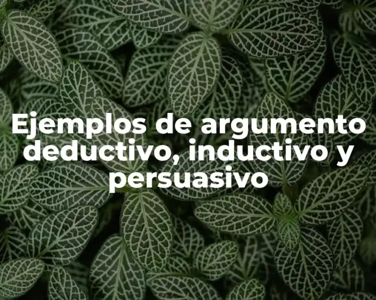 Ejemplos de argumento deductivo, inductivo y persuasivo