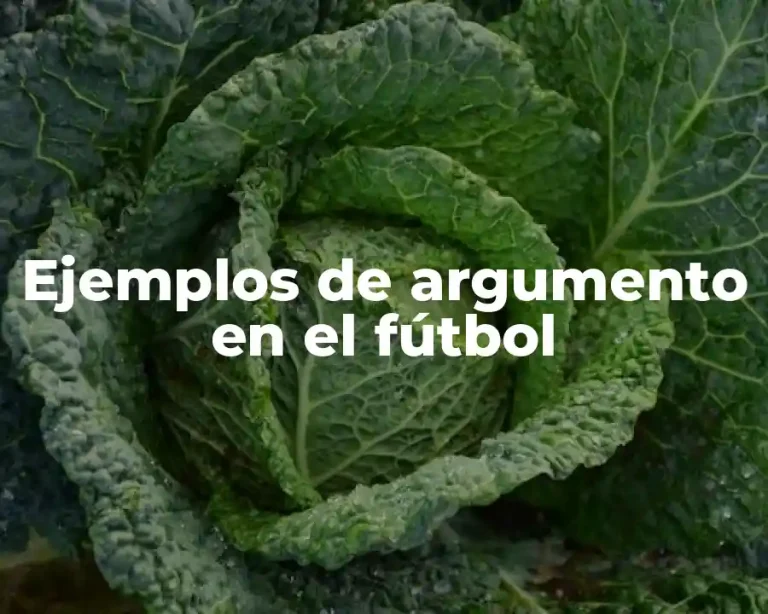 Ejemplos de argumento en el fútbol