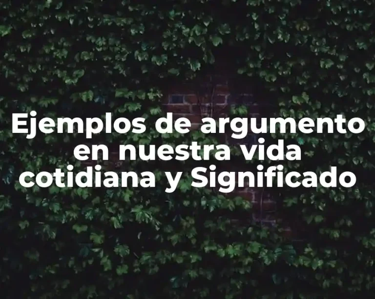 Ejemplos de argumento en nuestra vida cotidiana y Significado