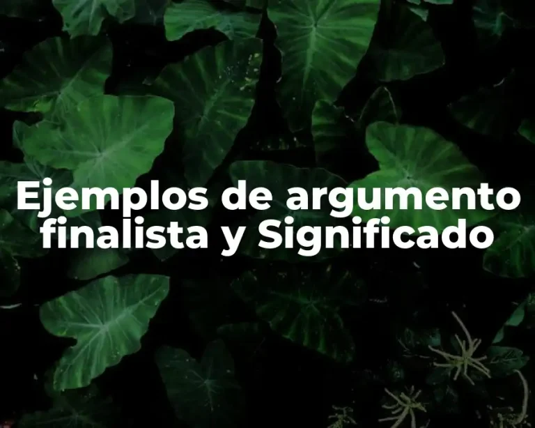 Ejemplos de argumento finalista y Significado