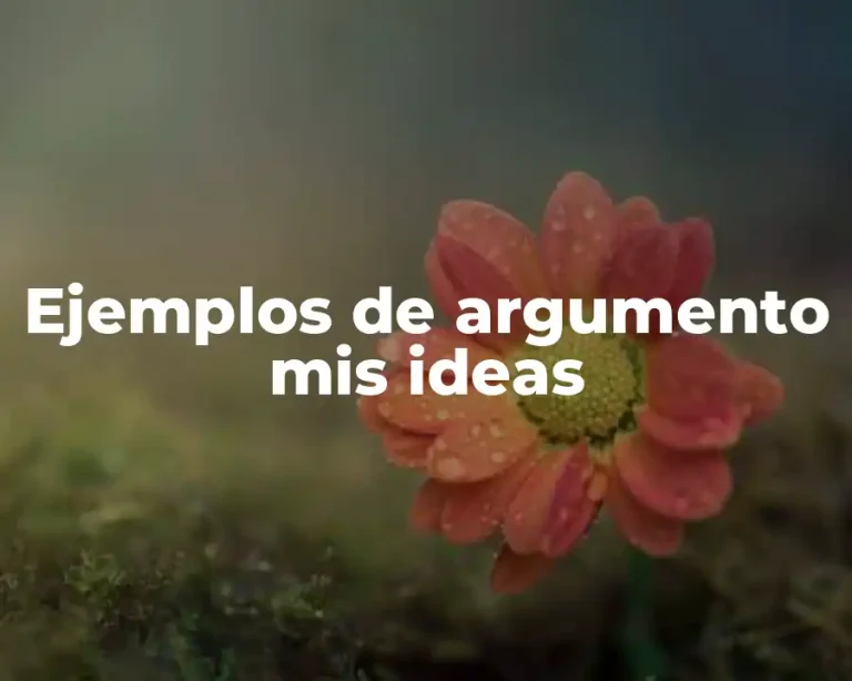 Ejemplos de argumento mis ideas