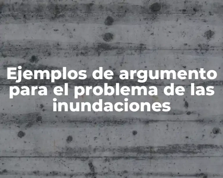 Ejemplos de argumento para el problema de las inundaciones