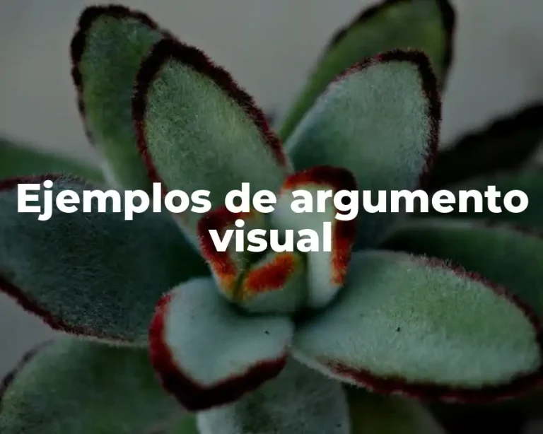 Ejemplos de argumento visual