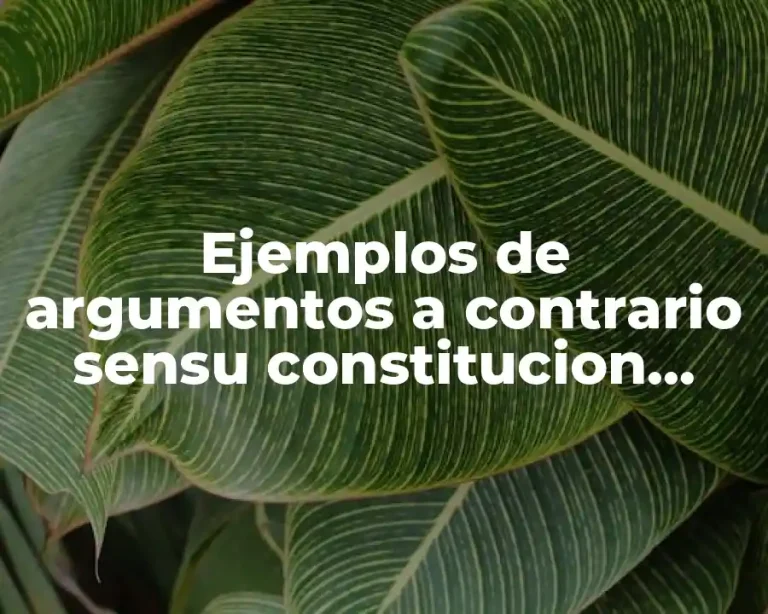 Ejemplos de argumentos a contrario sensu constitucion politica de mexico