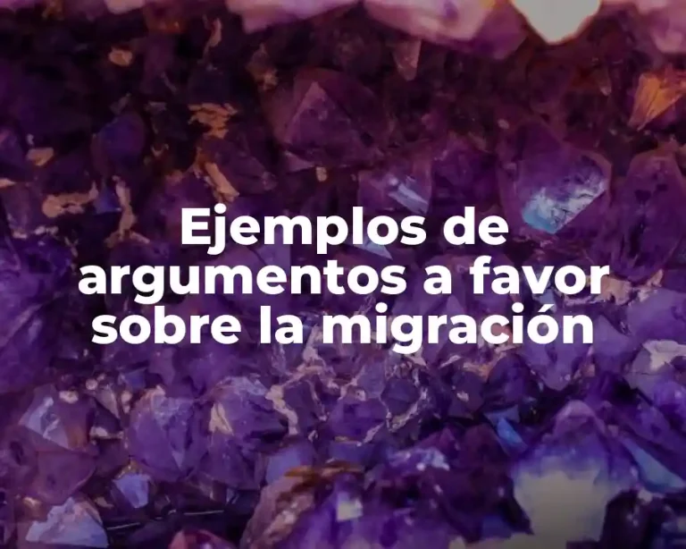 Ejemplos de argumentos a favor sobre la migración