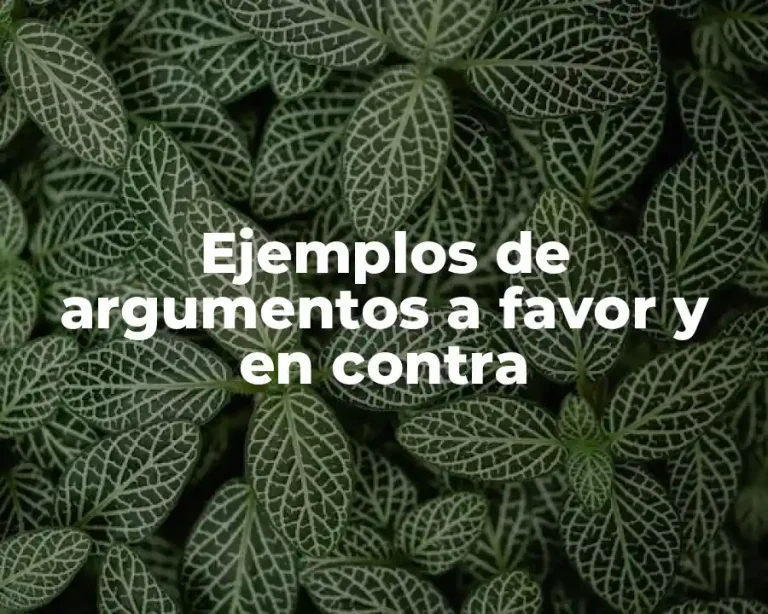 Ejemplos de argumentos a favor y en contra