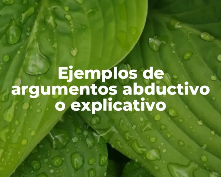 Ejemplos de argumentos abductivo o explicativo
