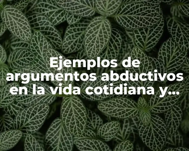 Ejemplos de argumentos abductivos en la vida cotidiana y Significado