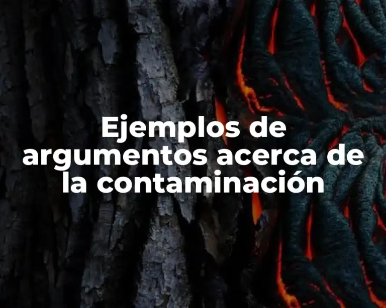 Ejemplos de argumentos acerca de la contaminación