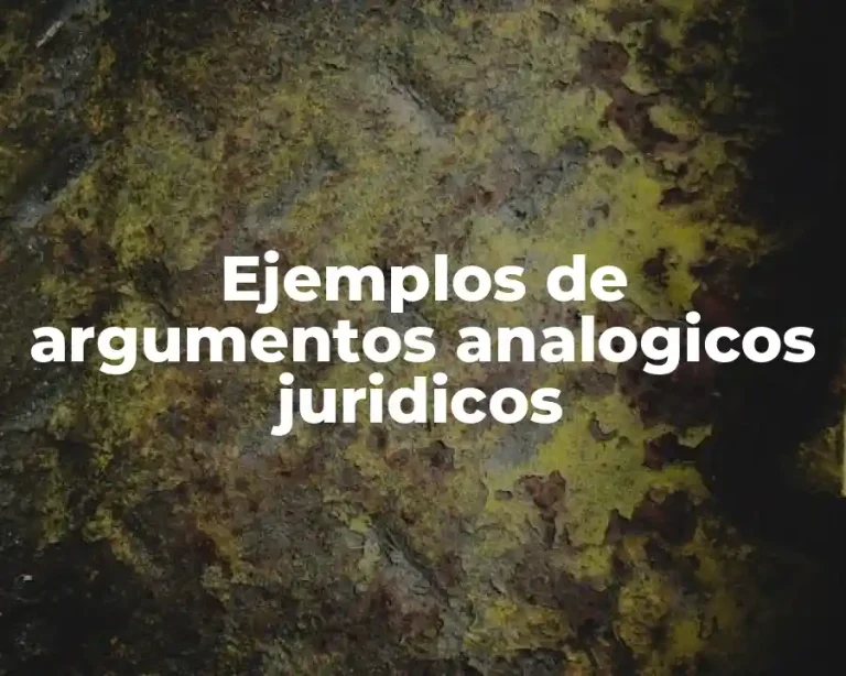 Ejemplos de argumentos analogicos juridicos