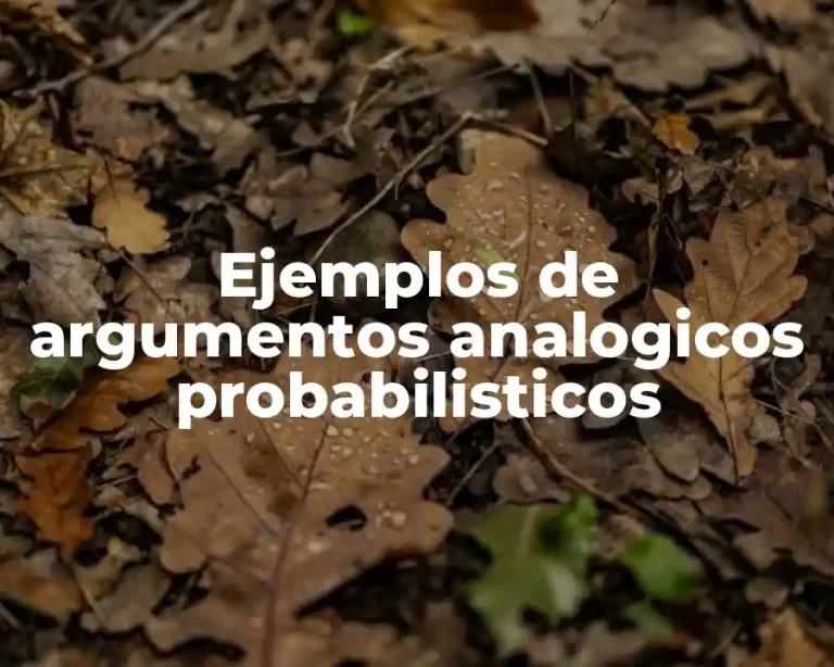 Ejemplos de argumentos analogicos probabilisticos