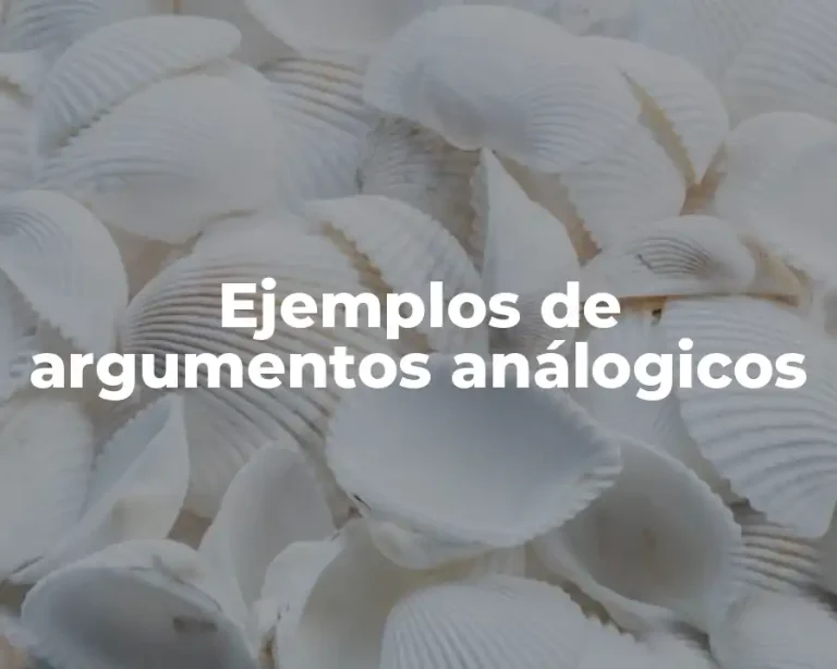 Ejemplos de argumentos análogicos