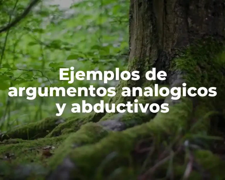 Ejemplos de argumentos analogicos y abductivos