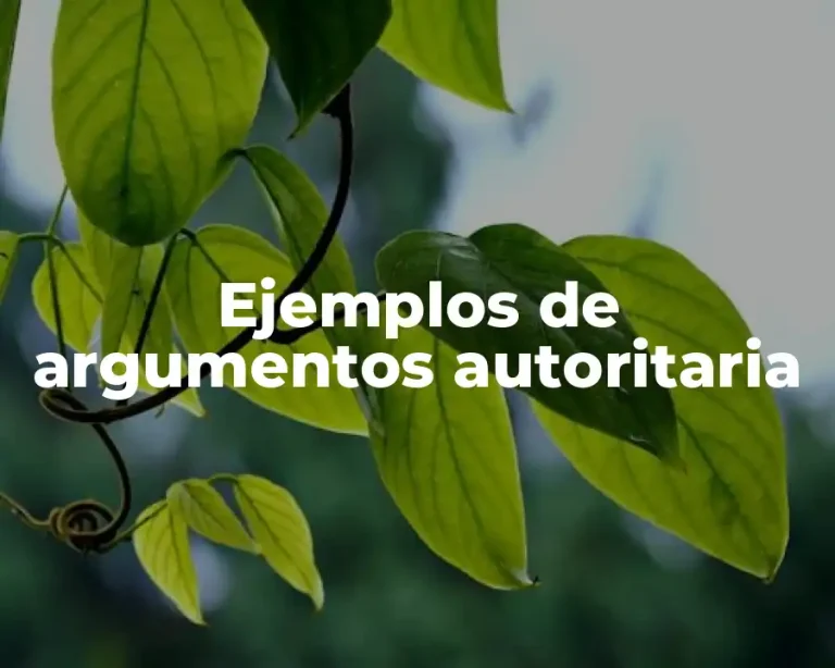 Ejemplos de argumentos autoritaria
