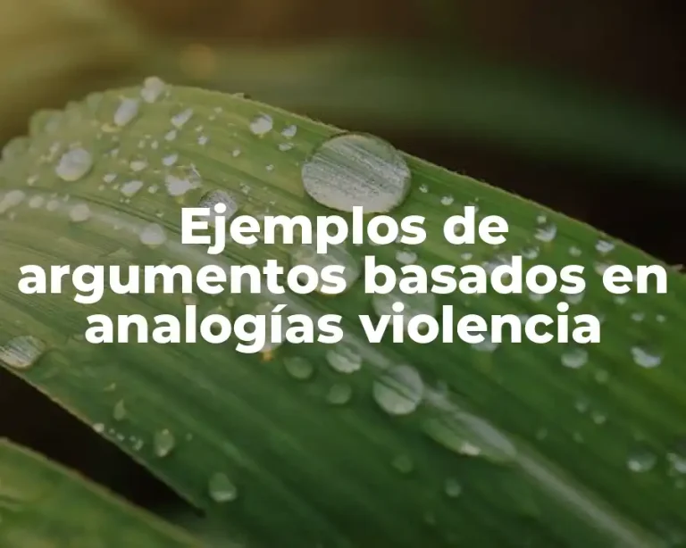Ejemplos de argumentos basados en analogías violencia