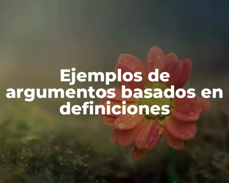 Ejemplos de argumentos basados en definiciones