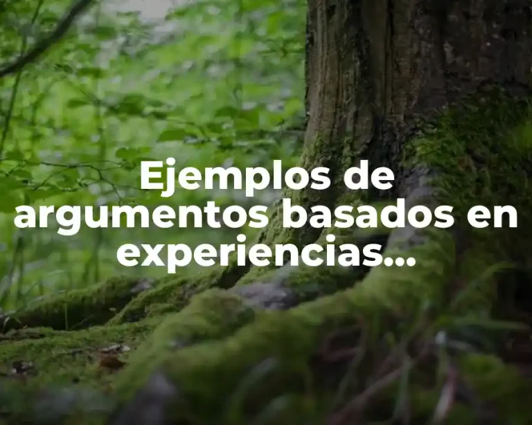 Ejemplos de argumentos basados en experiencias compartidas y Significado