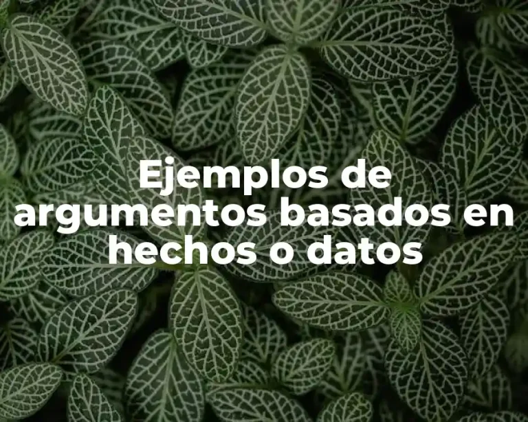 Ejemplos de argumentos basados en hechos o datos