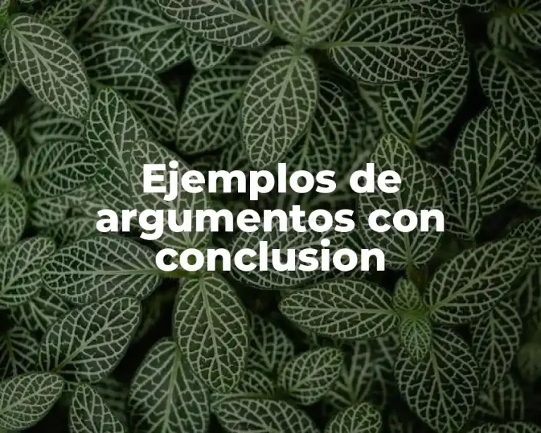 Ejemplos de argumentos con conclusion