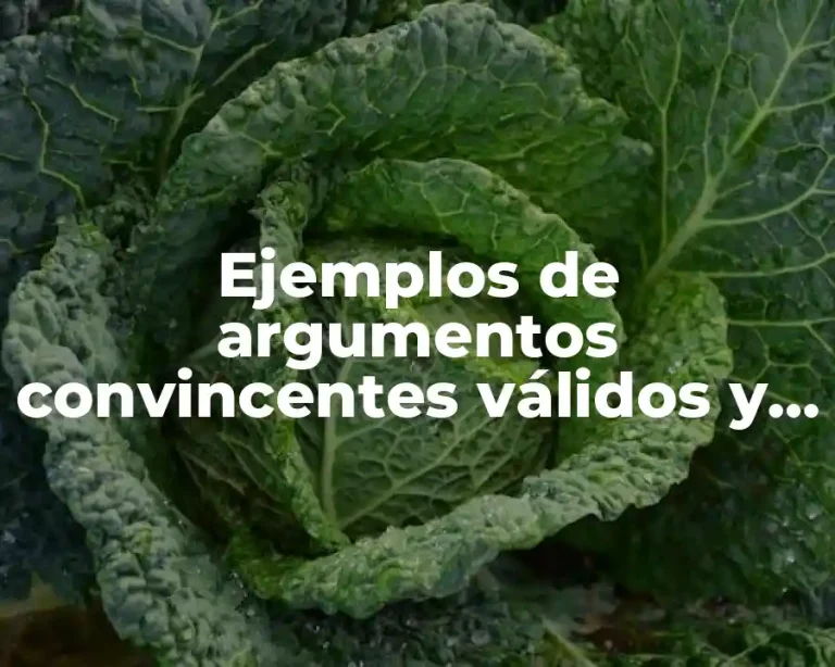 Ejemplos de argumentos convincentes válidos y Significado