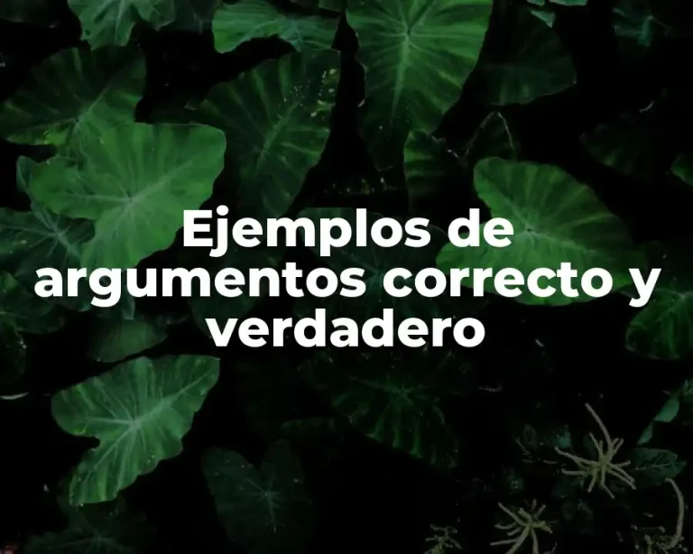 Ejemplos de argumentos correcto y verdadero