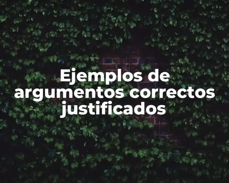Ejemplos de argumentos correctos justificados