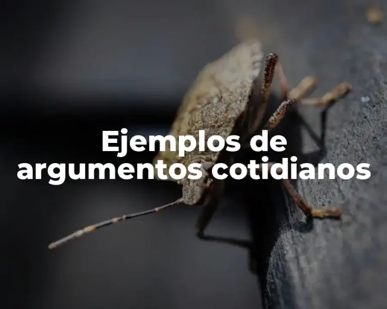 Ejemplos de argumentos cotidianos