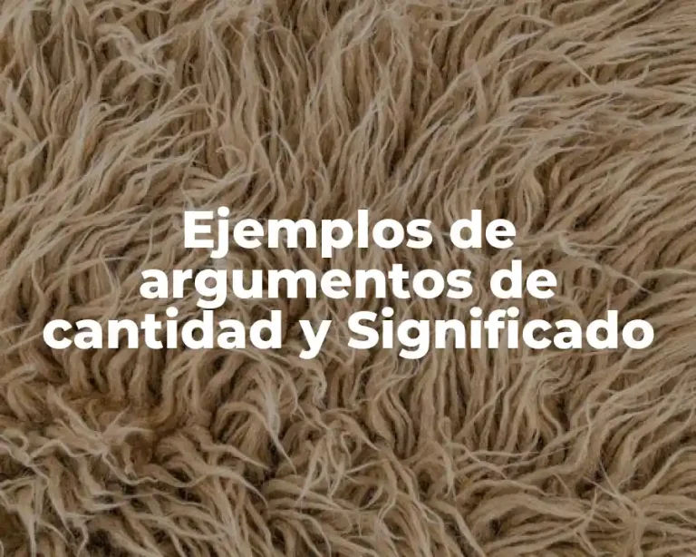 Ejemplos de argumentos de cantidad y Significado
