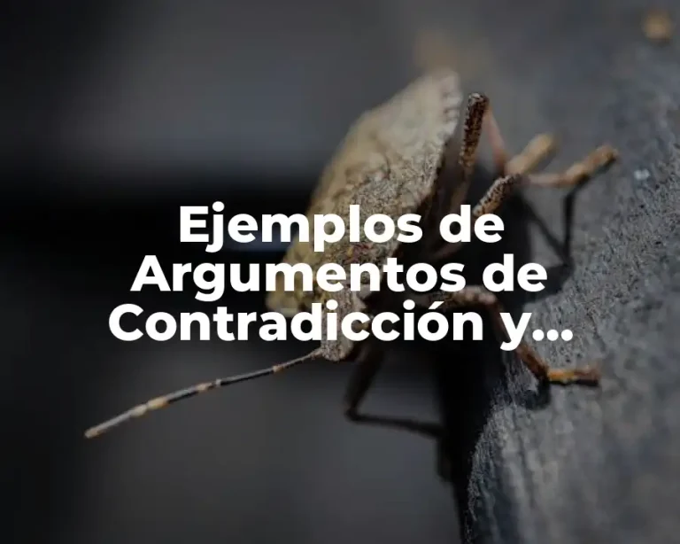 Ejemplos de Argumentos de Contradicción y Significado