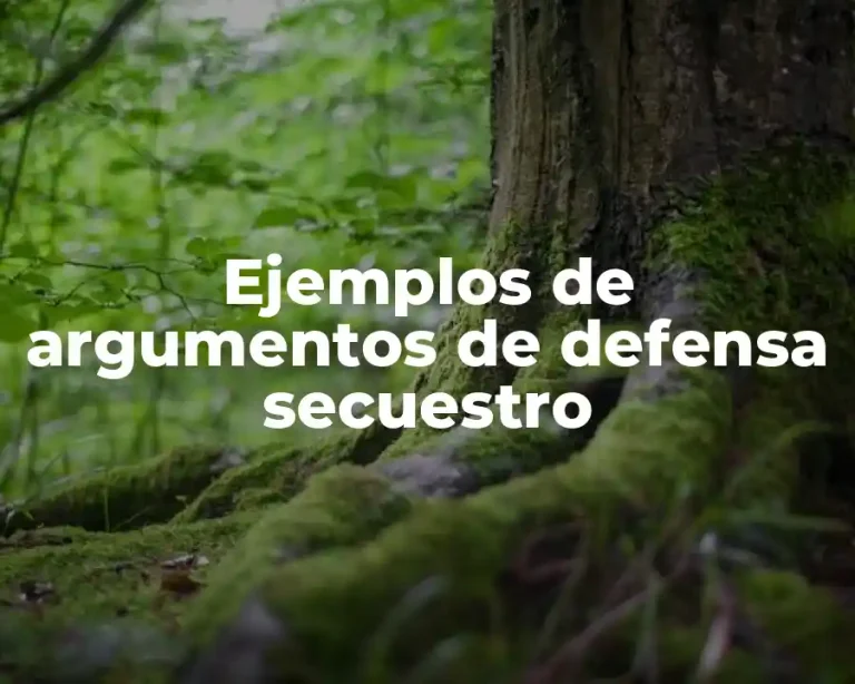 Ejemplos de argumentos de defensa secuestro