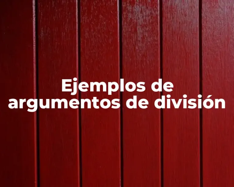 Ejemplos de argumentos de división