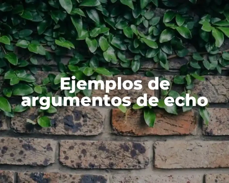 Ejemplos de argumentos de echo