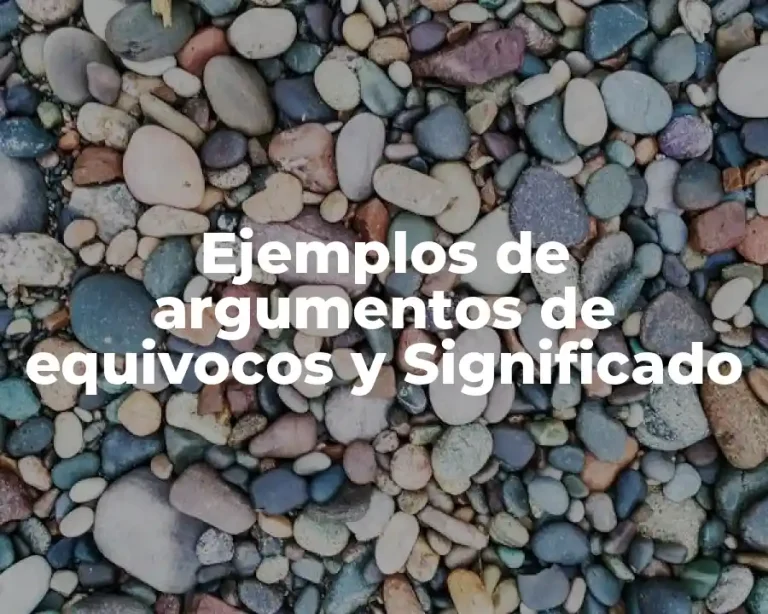 Ejemplos de argumentos de equivocos y Significado