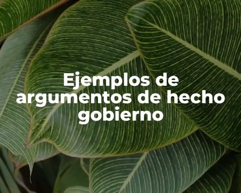 Ejemplos de argumentos de hecho gobierno
