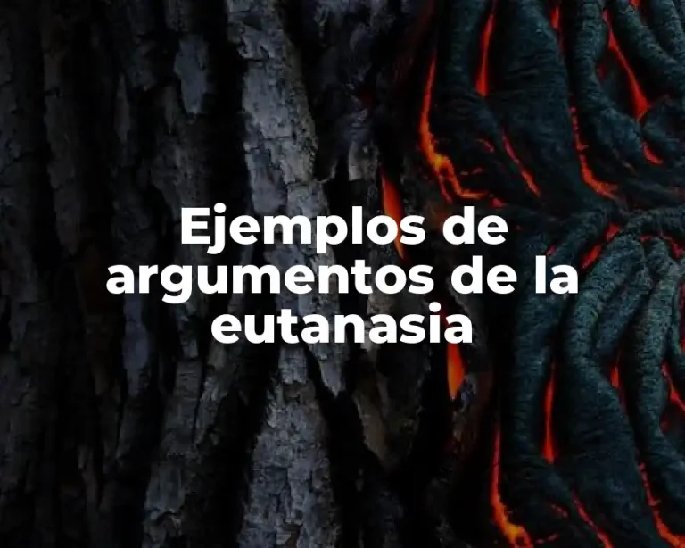 Ejemplos de argumentos de la eutanasia