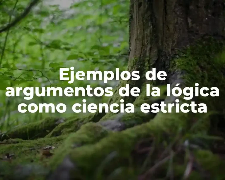 Ejemplos de argumentos de la lógica como ciencia estricta